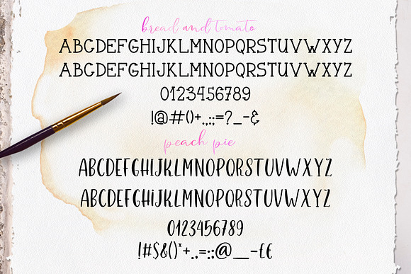 Handlettering Fonts Collection in Script Fonts - product preview 18