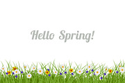 Spring and Summer background