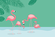 Summer concept design of flamingo