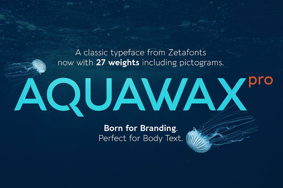 Aquawax Pro - 27 fonts in Icon Fonts - product preview 8