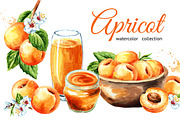 Apricot. Watercolor collection