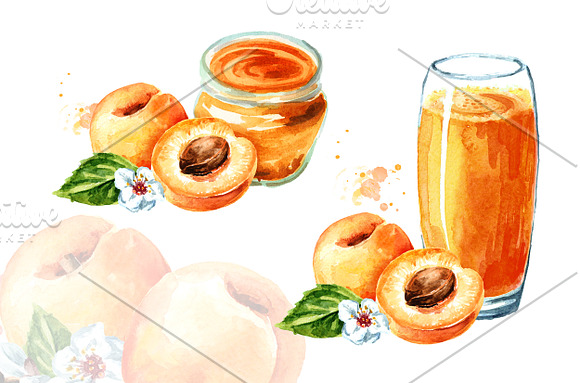 Apricot. Watercolor collection in Illustrations - product preview 5