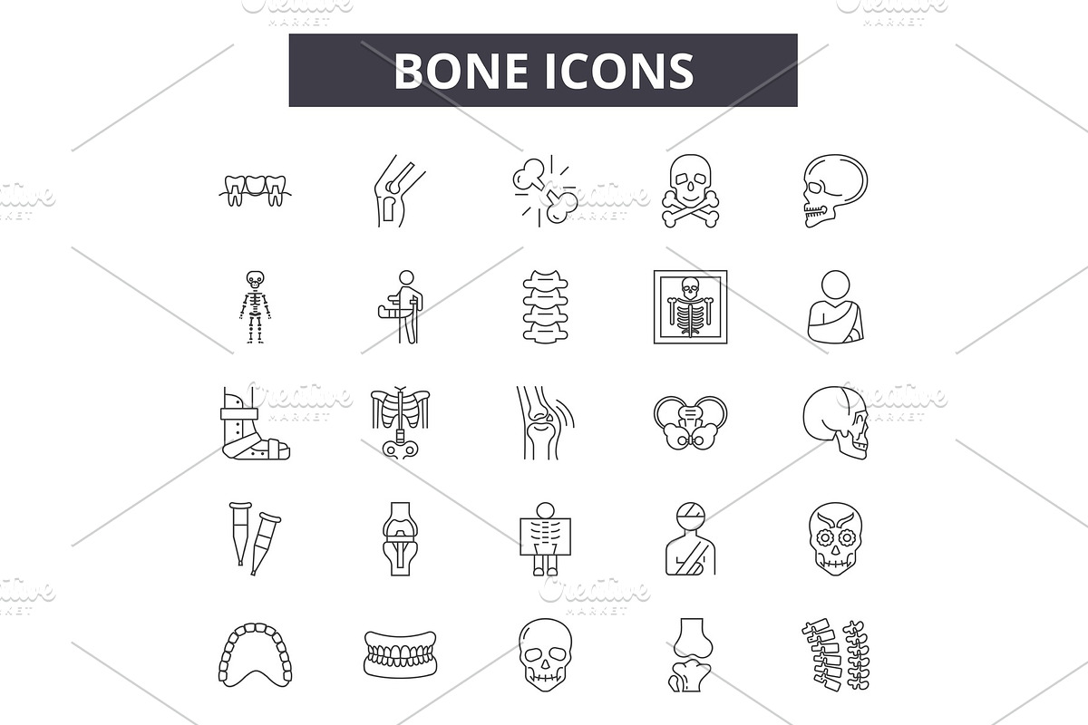 Bone line icons for web and mobile in Objects - product preview 8