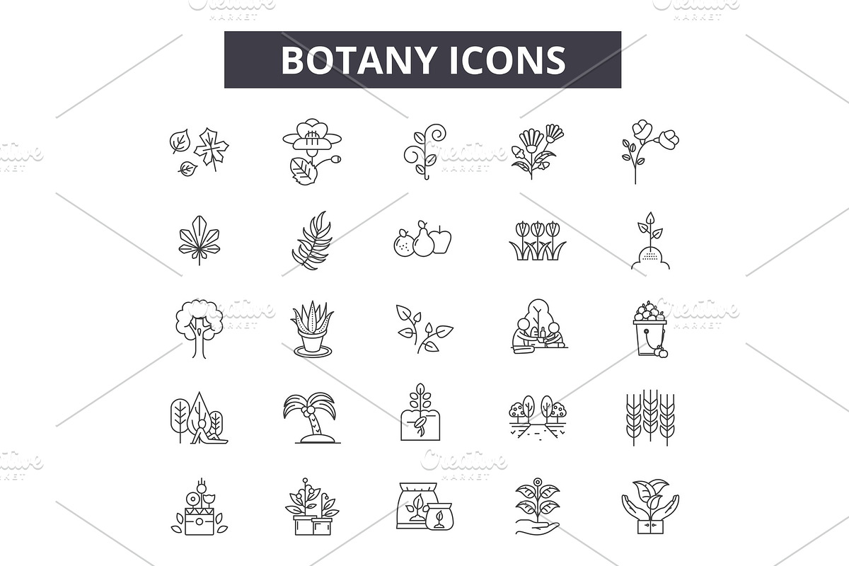 Botany line icons for web and mobile in Illustrations - product preview 8