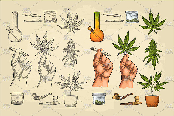 Set posters Engraving Marijuana in Illustrations - product preview 1