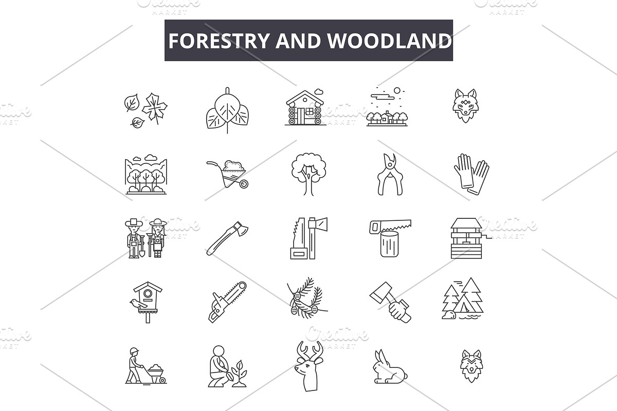 Forestry and woodland line icons for in Illustrations - product preview 8