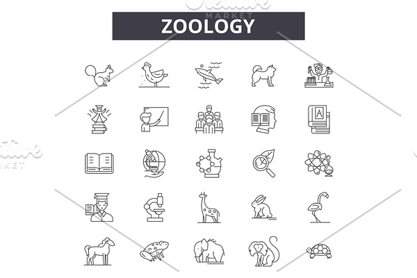 Zoology line icons for web and
