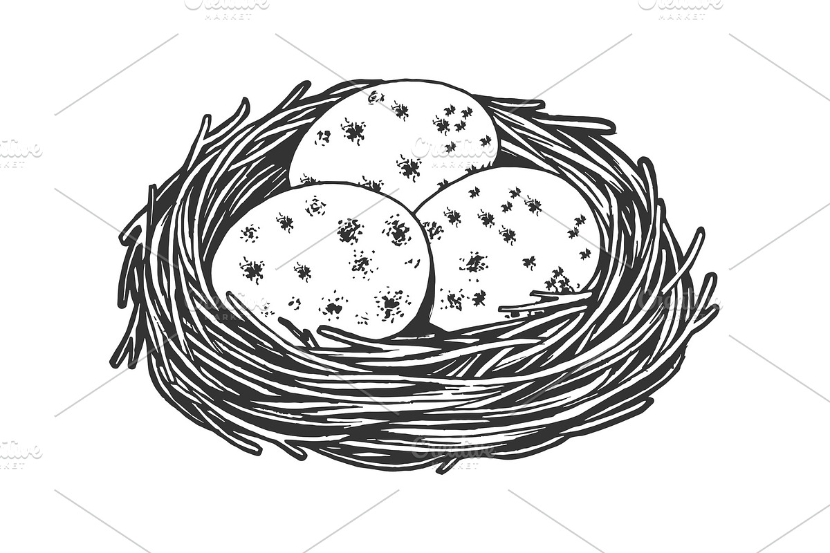 Nest with eggs sketch engraving in Illustrations - product preview 8