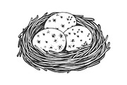 Nest with eggs sketch engraving