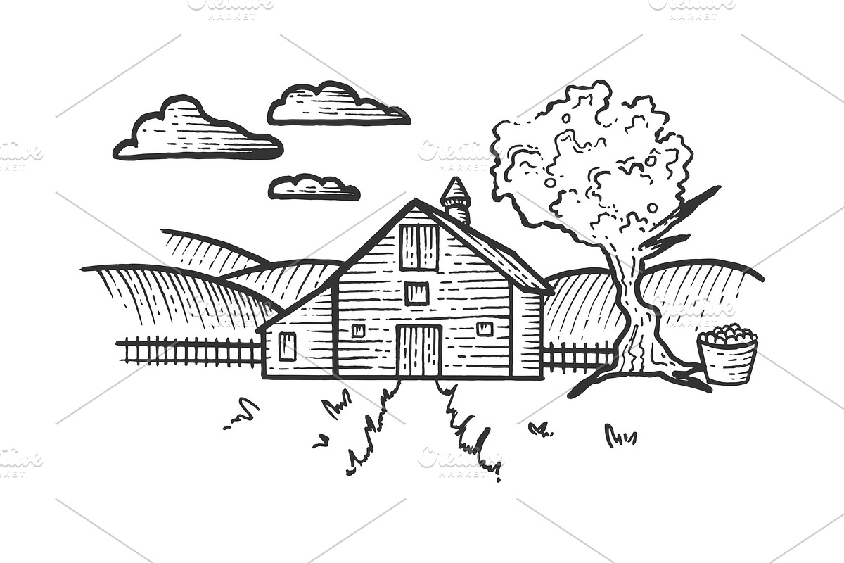 Farm rural landscape sketch in Illustrations - product preview 8