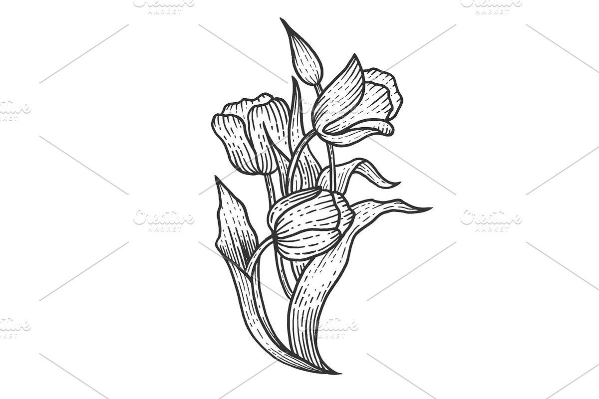 Tulip flowers sketch engraving in Illustrations - product preview 8