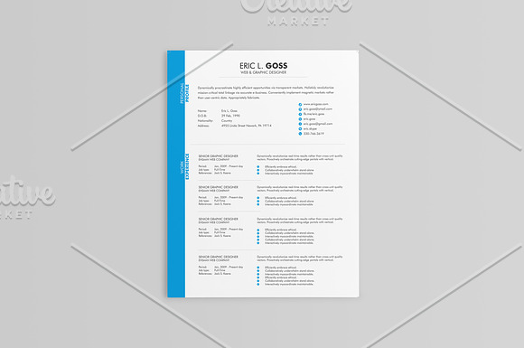 Elegant Resumes - 5 Colors in Resume Templates - product preview 1