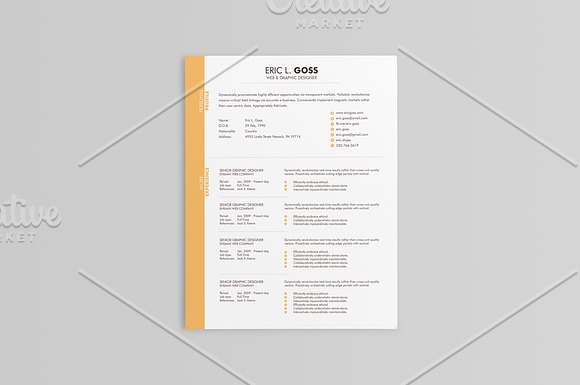 Elegant Resumes - 5 Colors in Resume Templates - product preview 2