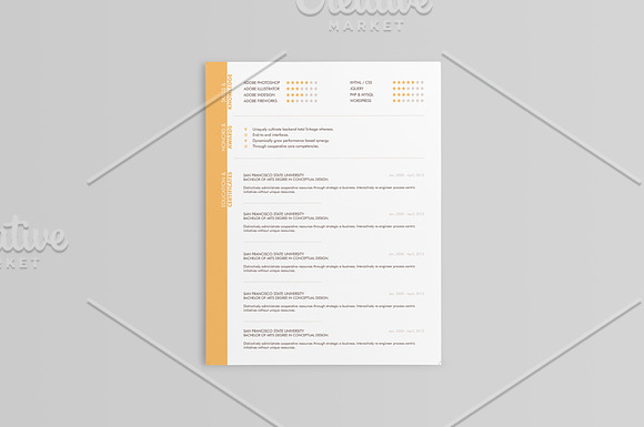 Elegant Resumes - 5 Colors in Resume Templates - product preview 3