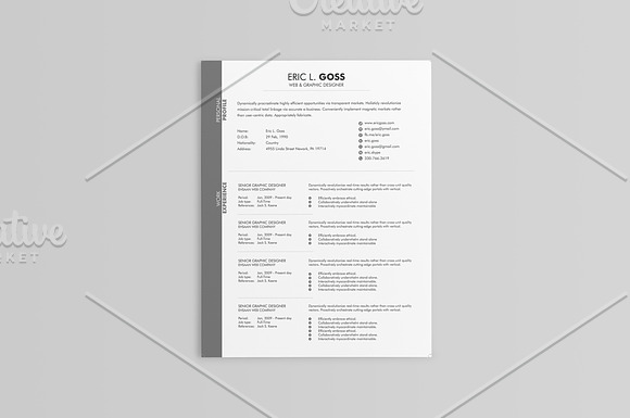 Elegant Resumes - 5 Colors in Resume Templates - product preview 4