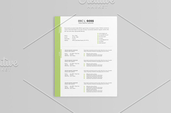 Elegant Resumes - 5 Colors in Resume Templates - product preview 6