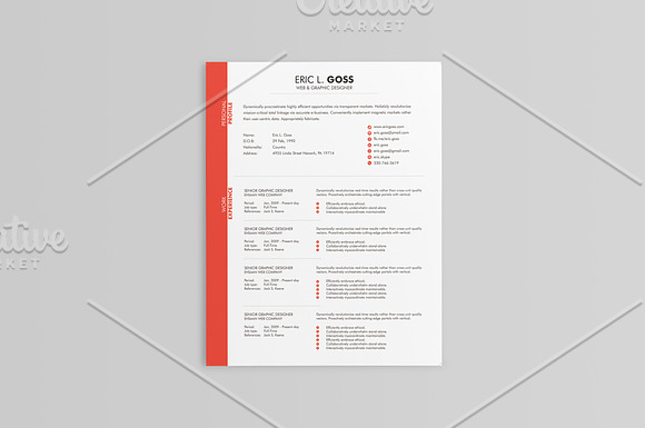 Elegant Resumes - 5 Colors in Resume Templates - product preview 8
