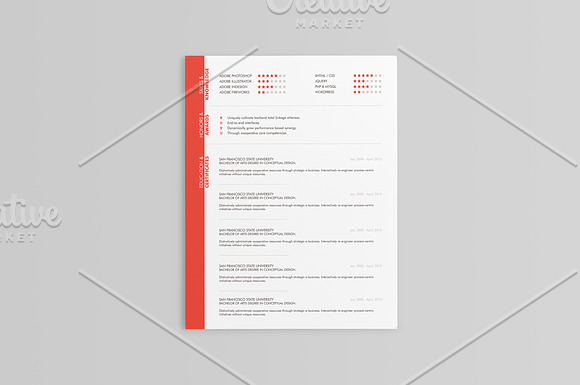 Elegant Resumes - 5 Colors in Resume Templates - product preview 9