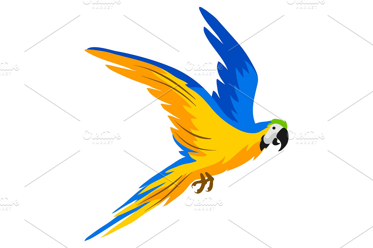 Illustration of macaw parrot in Illustrations - product preview 8