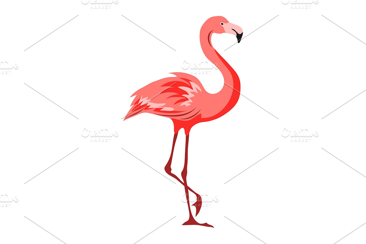 Illustration of pink flamingo in Illustrations - product preview 8