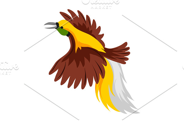 Illustration bird of paradise