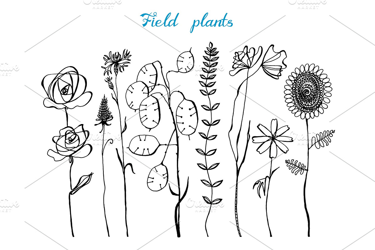 Field Flowers with leaves. Set in Illustrations - product preview 8