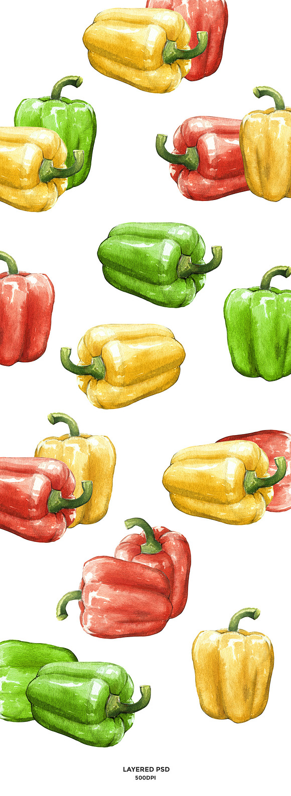Sweet pepper watercolor in Illustrations - product preview 2