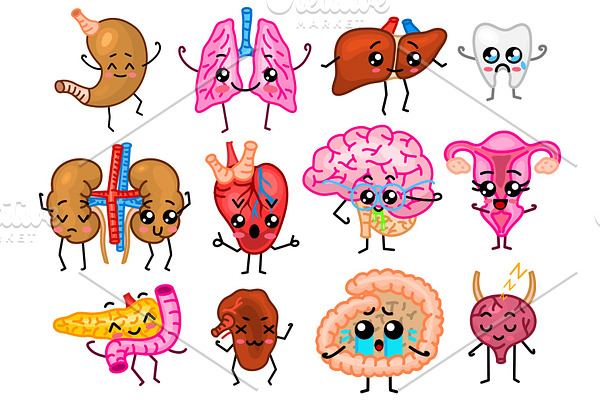 Set of organs. Cute happy