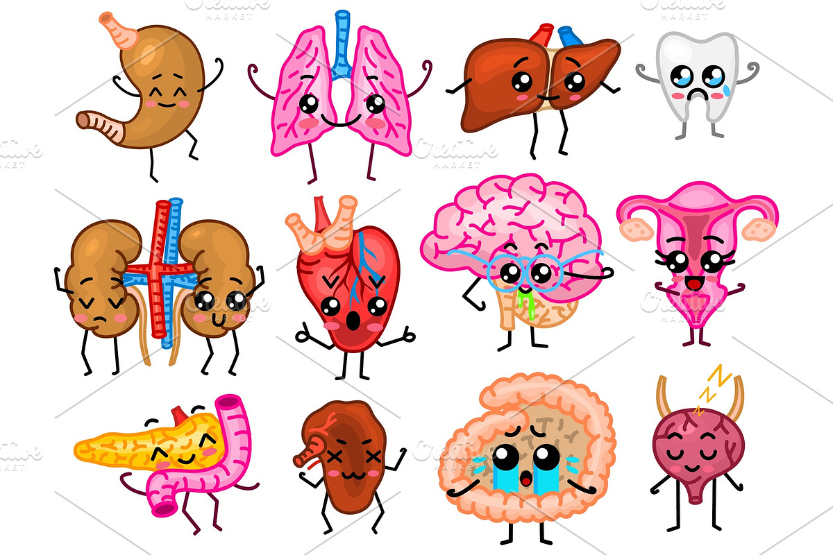 Set of organs. Cute happy in Objects - product preview 8