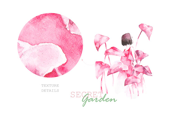 Secret Garden in Illustrations - product preview 2