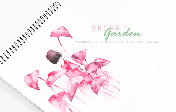 Secret Garden in Illustrations - product preview 6