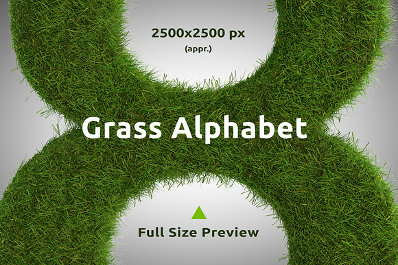 Grass Alphabet and Numbers in Illustrations - product preview 1