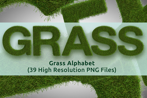 Grass Alphabet and Numbers in Illustrations - product preview 3