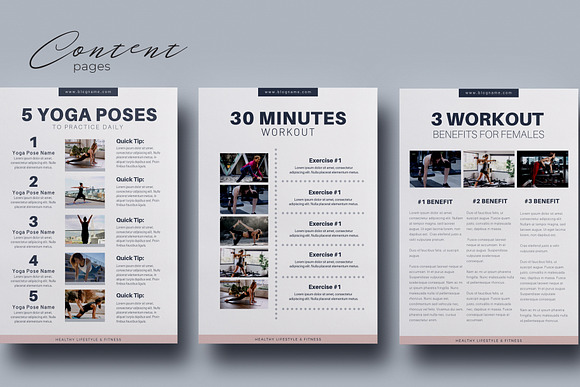 Content Upgrade Canva Template in Magazine Templates - product preview 2