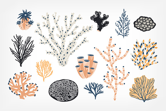 Corals and seaweed set and seamless in Illustrations - product preview 2