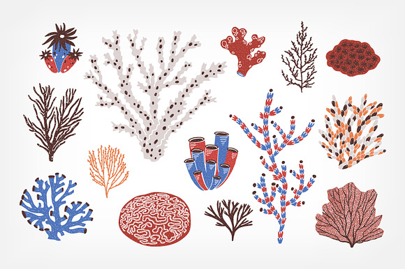 Corals and seaweed set and seamless in Illustrations - product preview 4