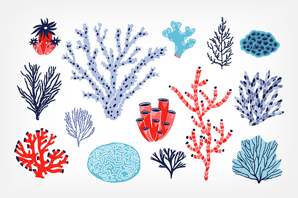 Corals and seaweed set and seamless in Illustrations - product preview 8