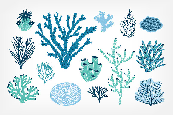 Corals and seaweed set and seamless in Illustrations - product preview 10