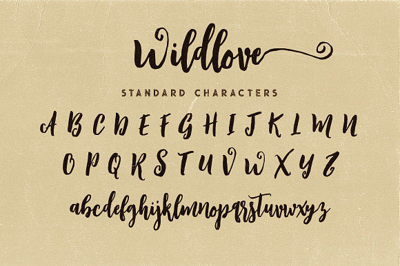 Wildlove Script Font in Script Fonts - product preview 5