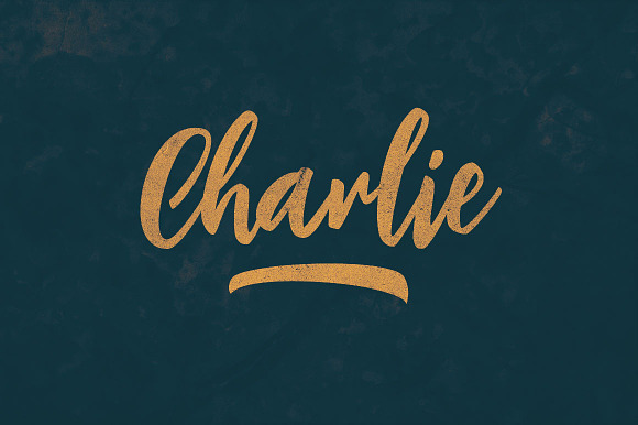 Charlie Script Font in Script Fonts - product preview 3