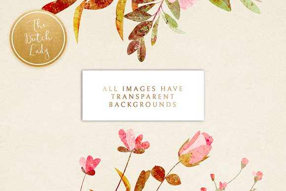 Floral & Botanical Clipart - Amanda in Illustrations - product preview 1
