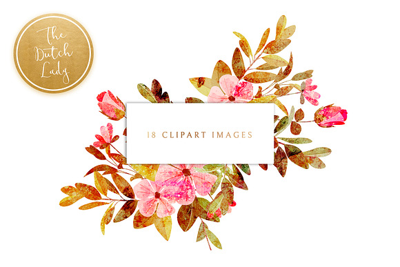 Floral & Botanical Clipart - Amanda in Illustrations - product preview 2