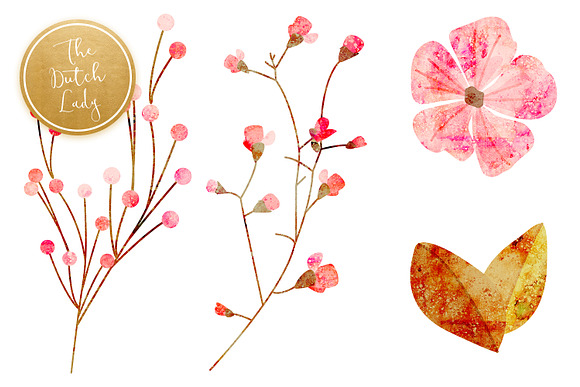 Floral & Botanical Clipart - Amanda in Illustrations - product preview 3
