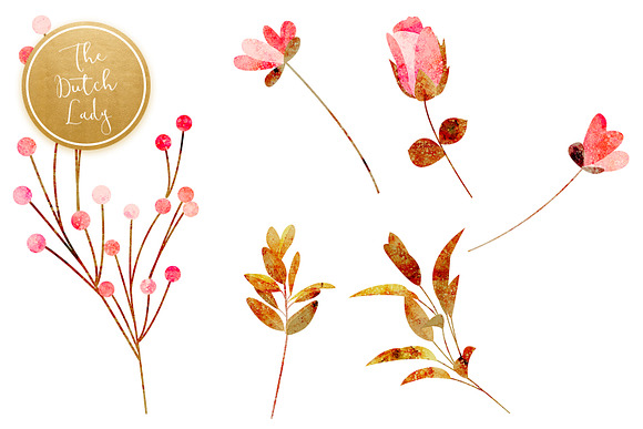 Floral & Botanical Clipart - Amanda in Illustrations - product preview 4