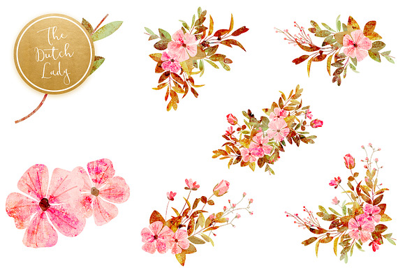 Floral & Botanical Clipart - Amanda in Illustrations - product preview 5