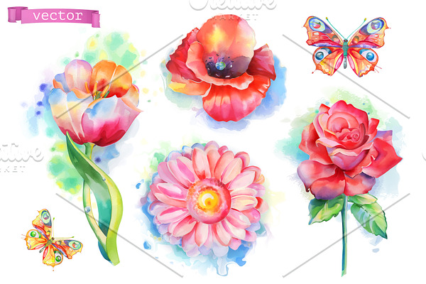Spring flowers, rose, tulip, vector