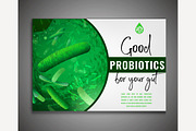 Lactobacillus Probiotics Poster