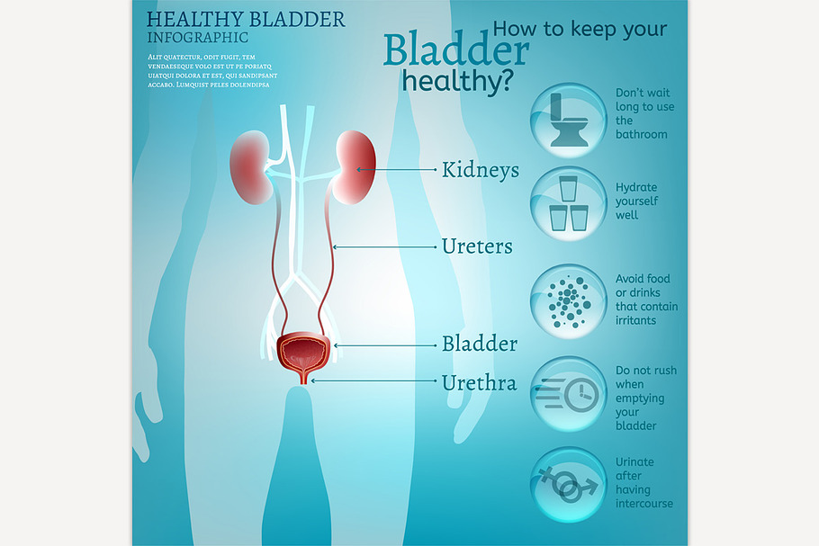 Healthy bladder infographic