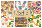 Bright pineapples patterns set