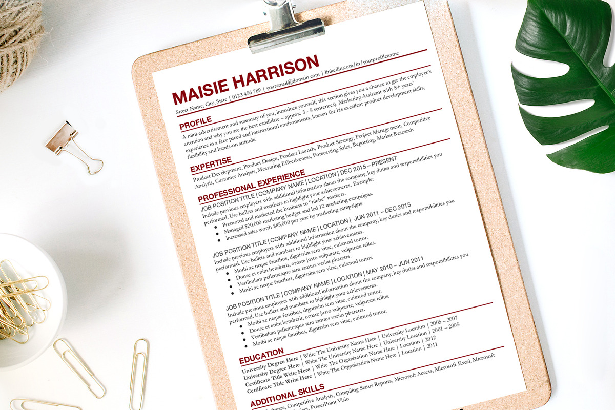 Simple Resume Template Google Docs in Resume Templates - product preview 8